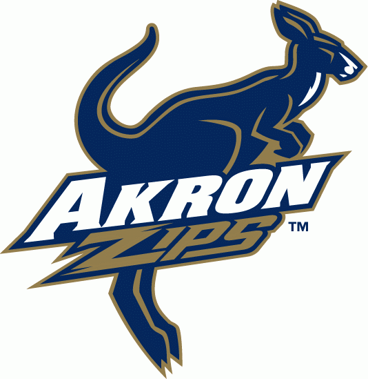 Akron Zips 2002-Pres Alternate Logo v2 iron on transfers for T-shirts